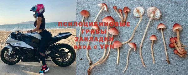 трава Горнозаводск