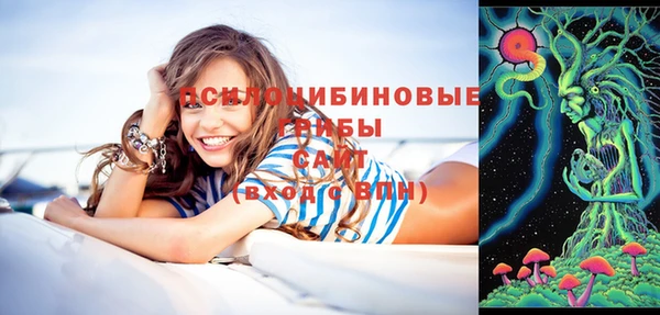 метадон Богородск