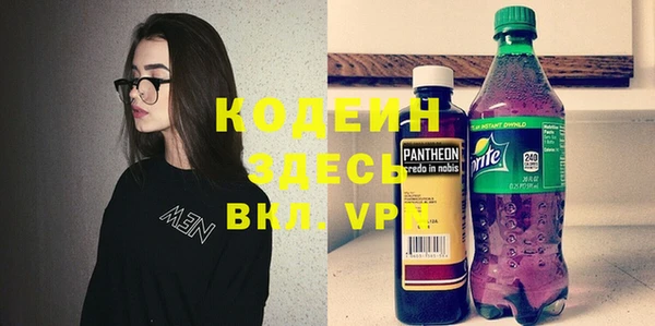 метадон Богданович