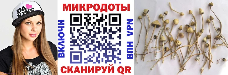 Галлюциногенные грибы Magic Shrooms  Борисоглебск 